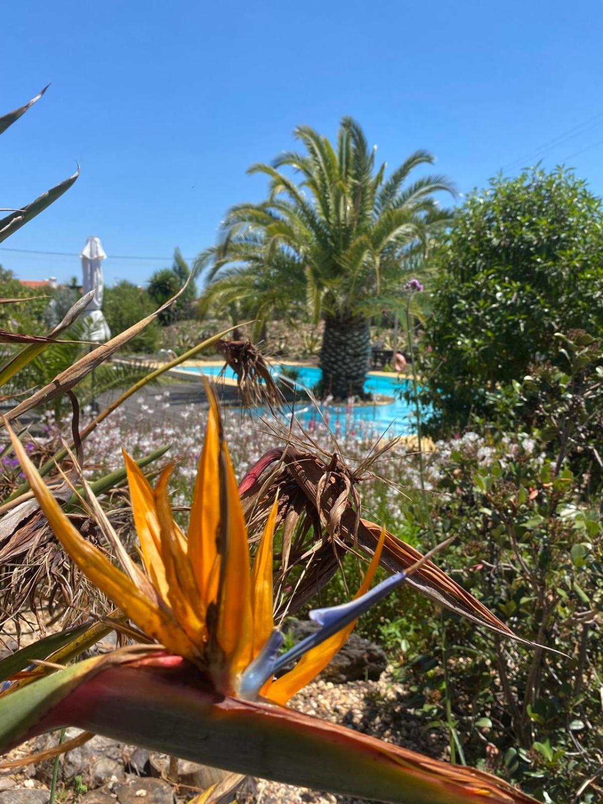 Quinta Cunte - Casa Sobreiro Holiday home Sao Luis