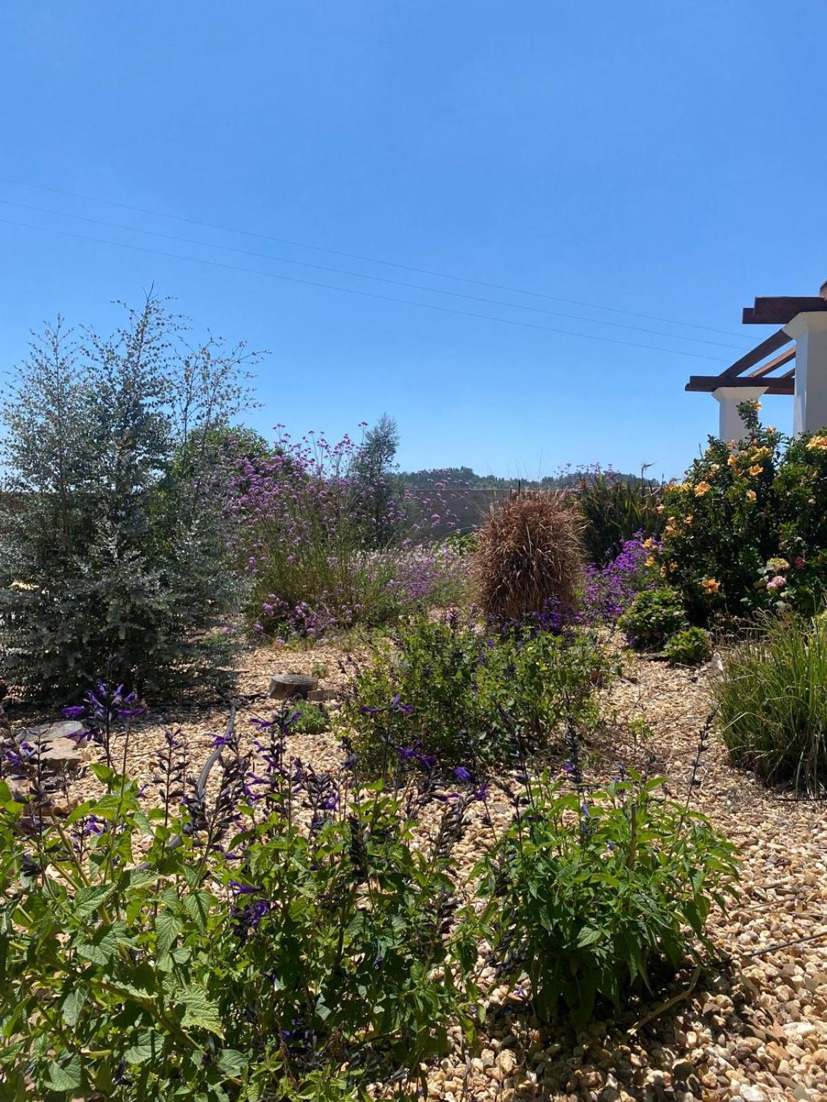 Holiday home Quinta Cunte - Casa Sobreiro Sao Luis