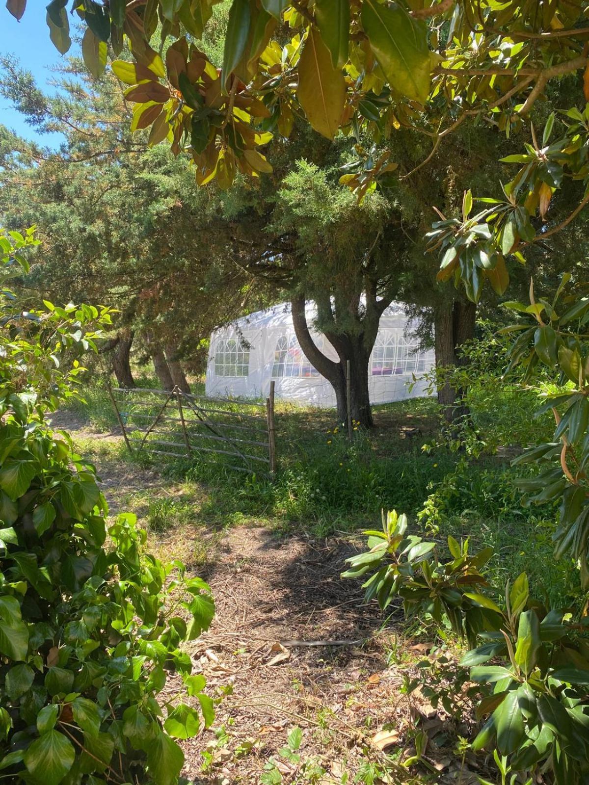 Quinta Cunte - Casa Sobreiro Sao Luis
